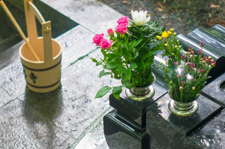 掃除されたお墓の画像